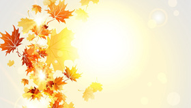 Beautiful golden autumn maple leaf slideshow background picture 