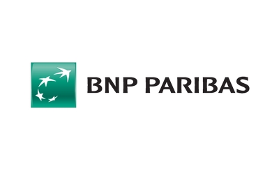 BNP Paribas   PowerPoint Templates & Google Slides Themes